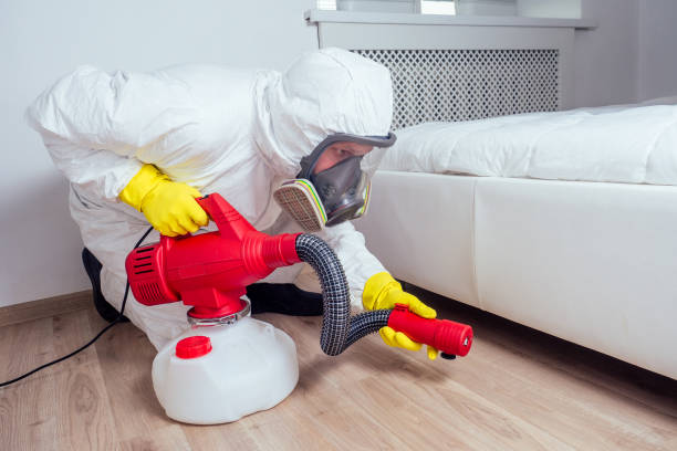 Best Local Pest Control Services  in Clintonville, WI