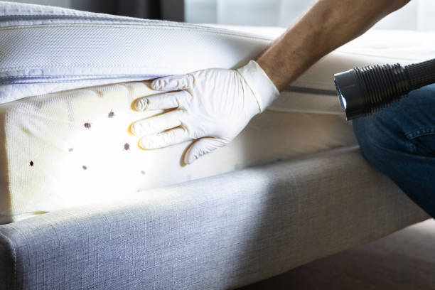Pest Control Cost in Clintonville, WI