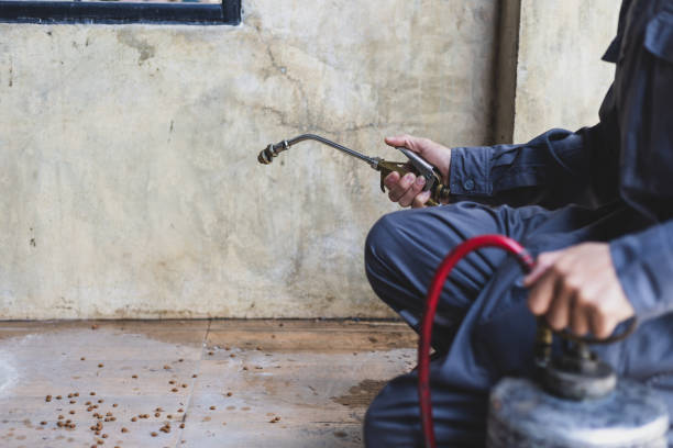 Best Wasp Removal Services  in Clintonville, WI