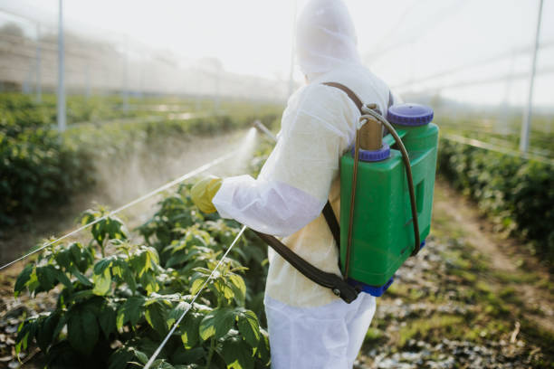  Clintonville, WI Pest Control Pros